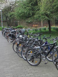 Fahrräder parken auf dem vorgesehenen Platz