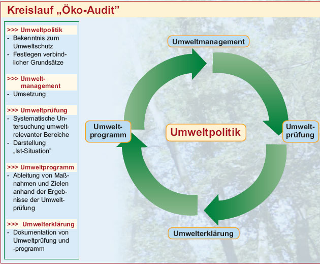 Diagramm stellt den Kreislauf des ko Audits an Hand von Umweltmanagement, Umweltprfung, Umweltprogramm und Umwelterklrung dar