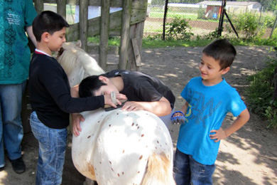 Das Foto zeigt drei Jungen, die mit viel Freude ein Pony striegeln.