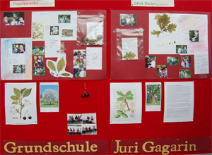 Das Foto zeigt eine Wandzeitung der Grundschule Juri Gagarin.