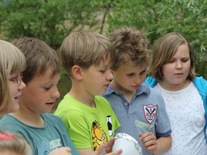 Das Foto zeigt fünf Kinder, die aufmerksam etwas betrachten, was auf dem Bild nicht zu sehen ist.