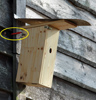 Das Foto zeigt einen Nistkasten aus Holz, der an einer Scheune hängt. Ein Kabel, das vom Kasten in die Scheune führt, ist durch eine gelbe Ellypse markiert.
