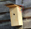 Das Foto zeigt einen Nistkasten aus Holz, der an einer Scheune hängt. Eine kleine Antenne an der Seite des Kastens ist durch eine rote Ellypse markiert.