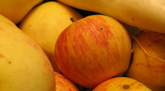 Das Foto zeigt einen gelbroten Apfel und weiteres Obst.