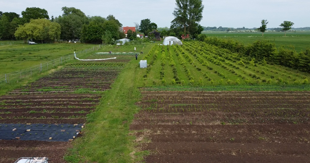 Das Foto ist ein Luftbild, es zeigt einen landwirtschaftlichen Betrieb mit Gemüsebeeten und einem Gewächshaus.