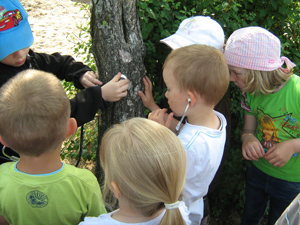 Eine Gruppe von Kindern steht um einen Baum herum; ein Junge hlt den Kopf eines Stethoskops an den Stamm, ein anderer hat die Hrer in den Ohren und lauscht, die anderen schauen interessiert zu.