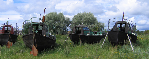 Abgewrackte Fischerboote stehen auf einer Wiese